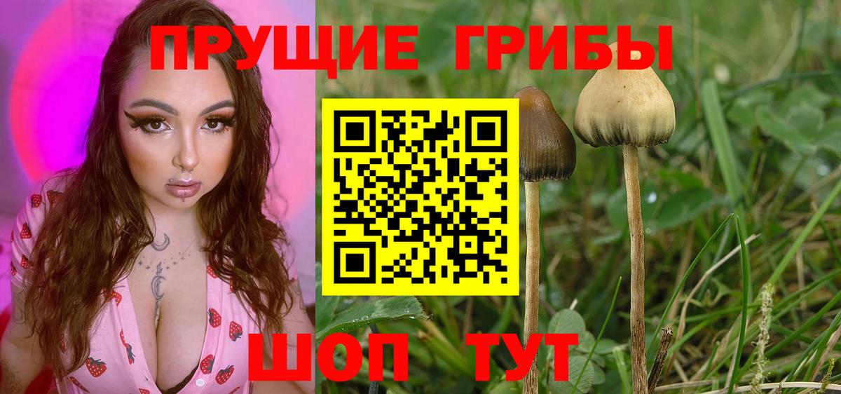 Троицк  Псилоцибиновые грибы MAGIC MUSHROOMS  Вход с VPN 